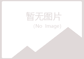 子长县初夏能源有限公司